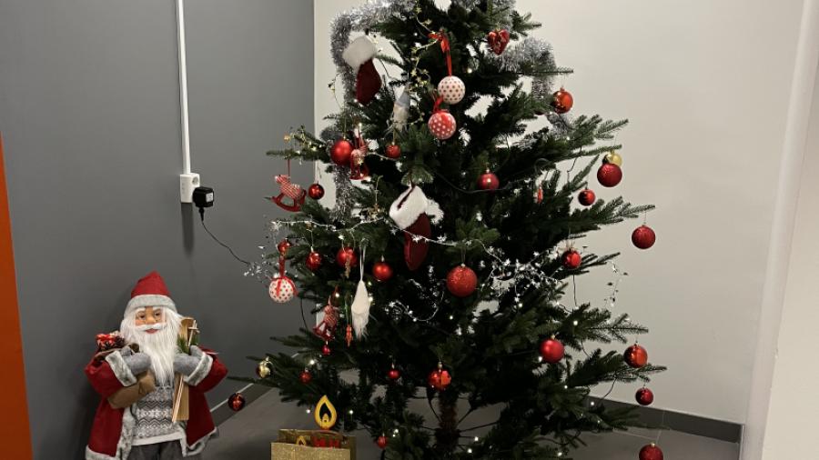 Julgran