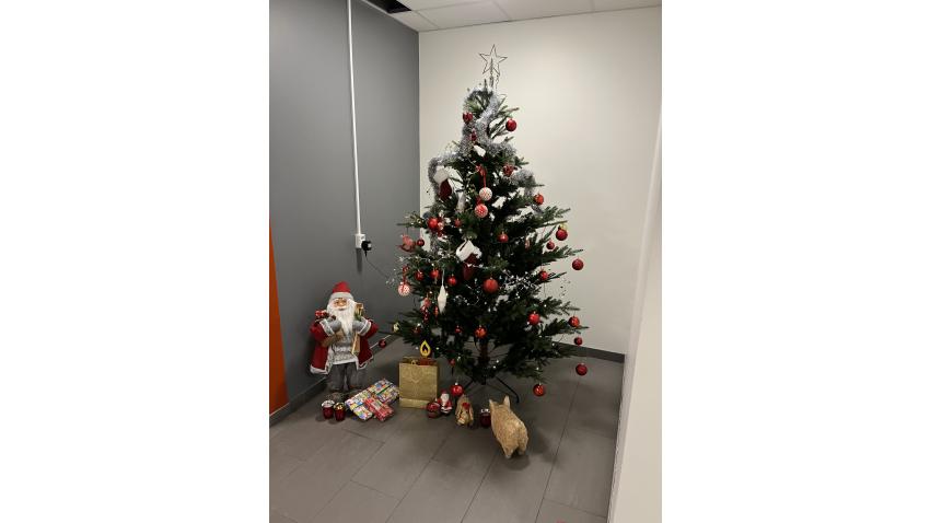 Julgran